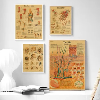 Диаграмма позвоночника Плакаты со скелетом Анатомия человека Коленный сустав Стопы Картина на холсте Медицинские настенные принты для домашнего декора комнаты